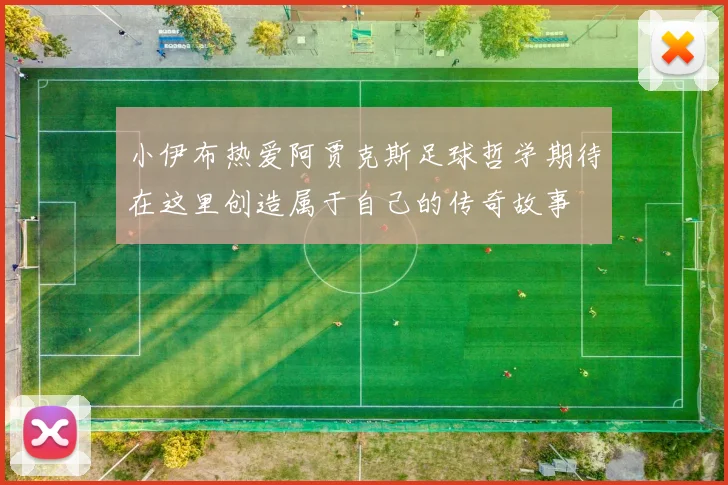 小伊布热爱阿贾克斯足球哲学期待在这里创造属于自己的传奇故事